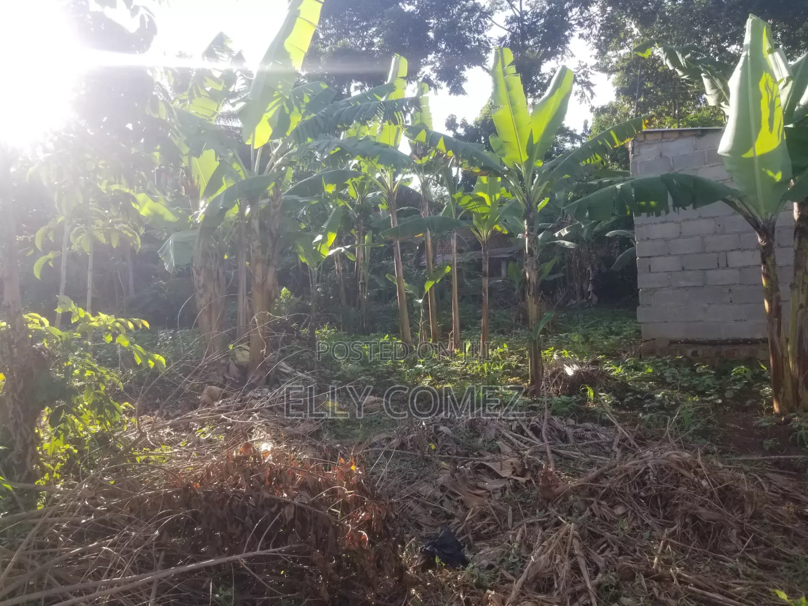 60by 40 Land for Sell in Kitagobwa After Kitezzi Buwambo Road