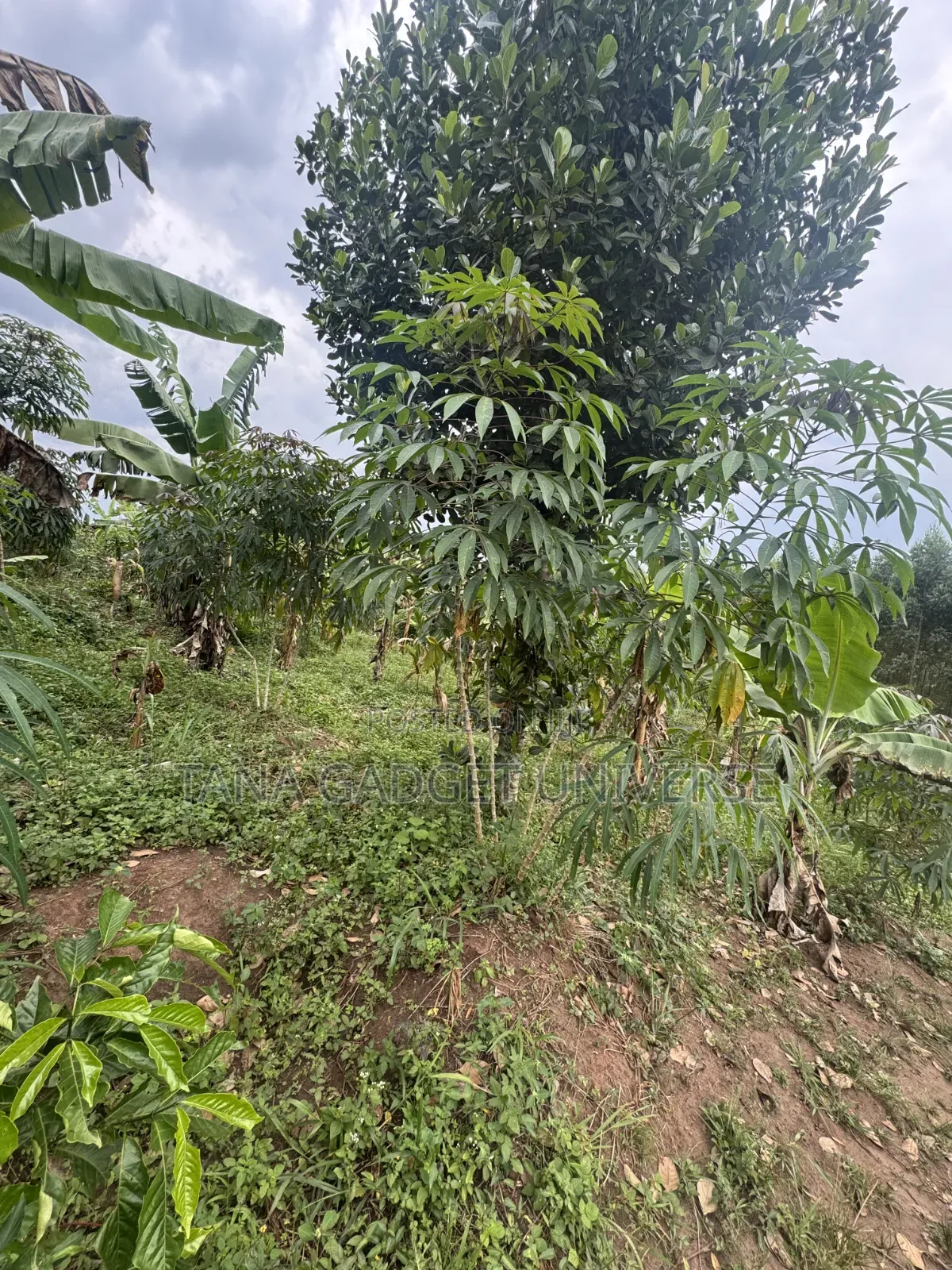 Land for Sale in Katende