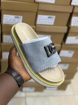 Original Dg Slides