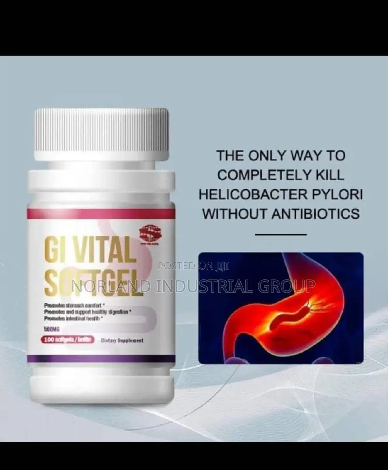 Gi Vital Soft Gel