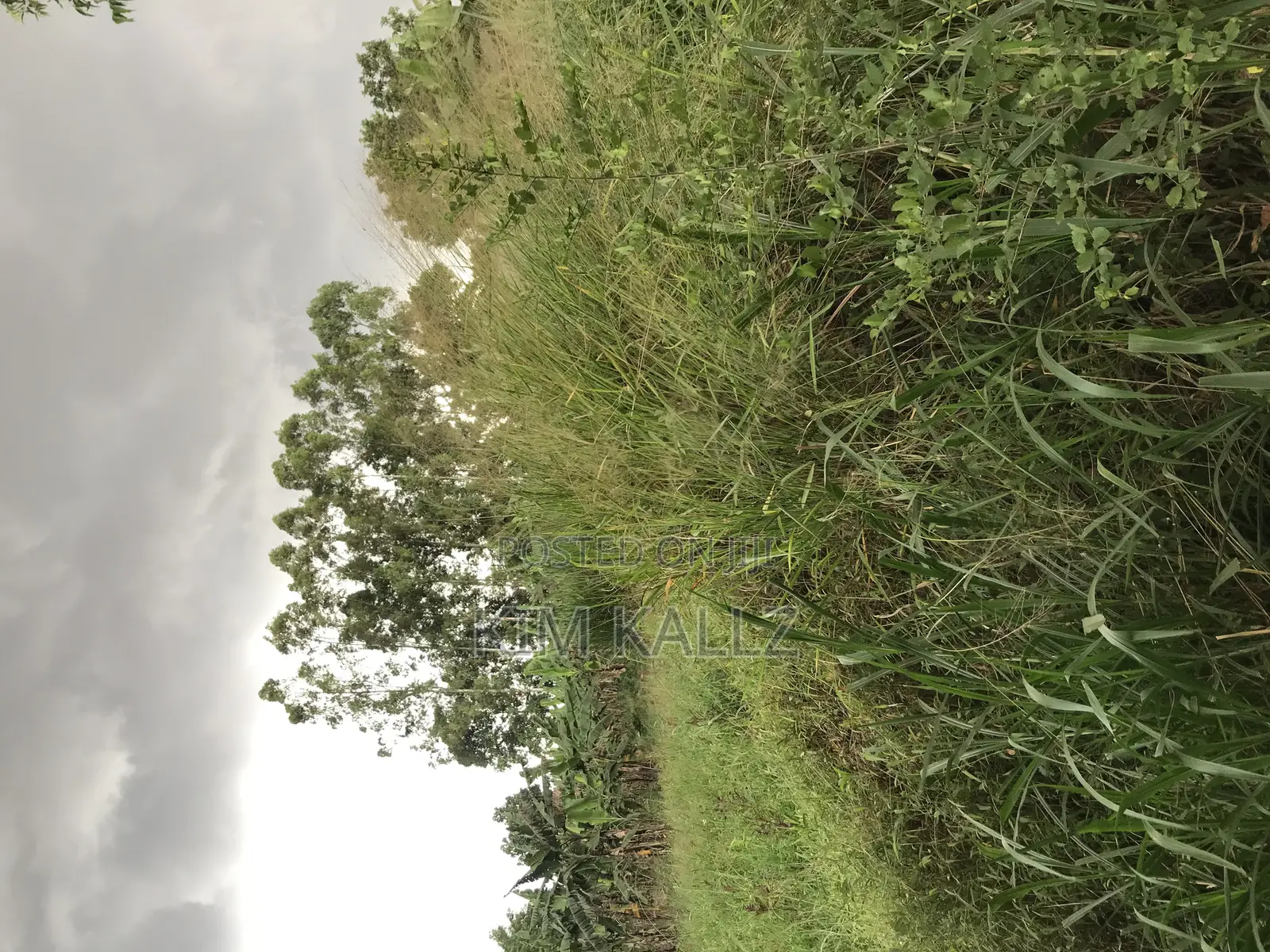 Prime Land 8 Acres