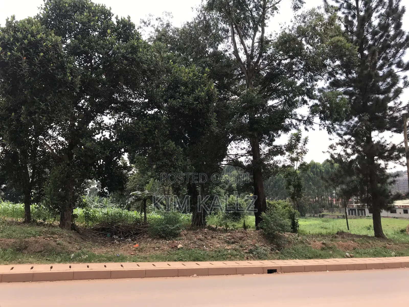 Prime Land 8 Acres