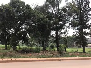 Prime Land 8 Acres