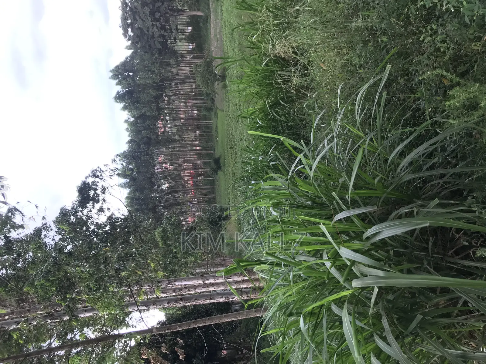 Prime Land 8 Acres