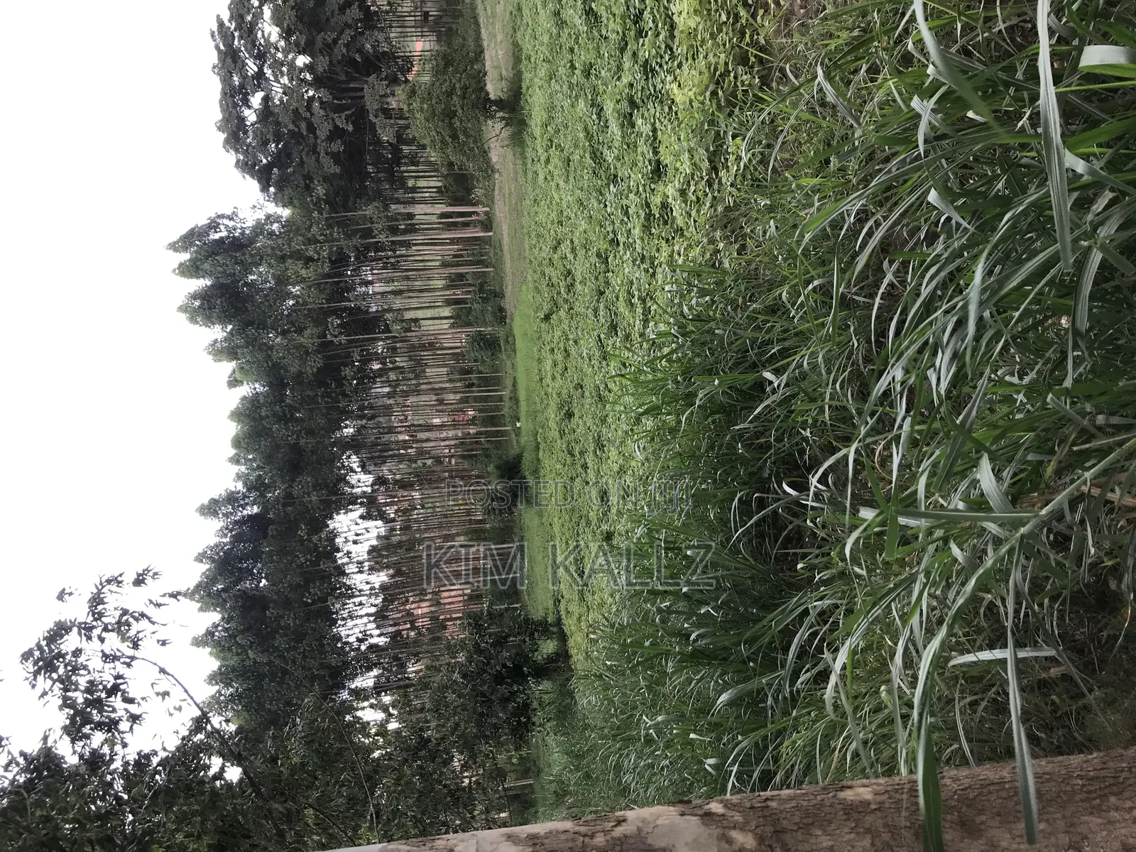 Prime Land 8 Acres