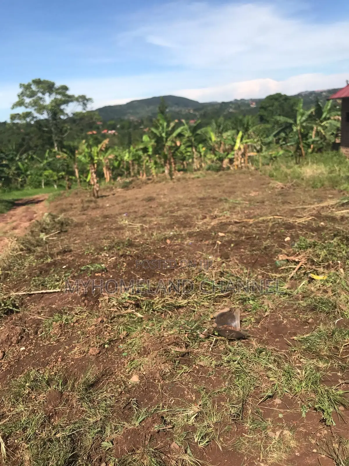 Land for Sale
