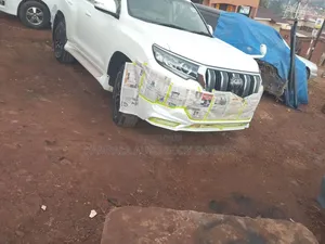 Professional Car Painting Panel Beating Services