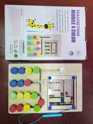 Magnetic Color Sorting Puzzle