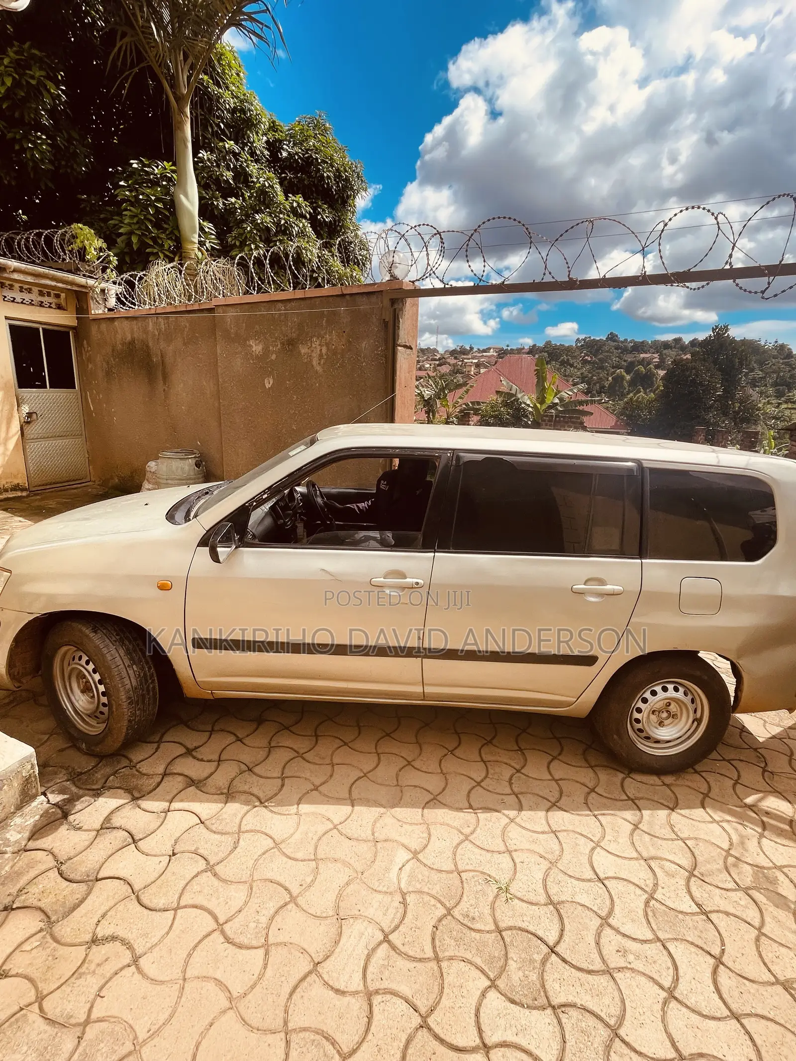 Toyota Succeed 2001 Brown