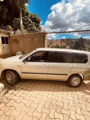 Toyota Succeed 2001 Brown