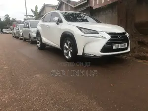 Lexus NX 2018 White