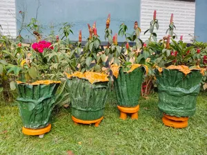 Salmon's Events And Backyard Ideas