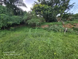 47 Decimals for Sale in Buziga