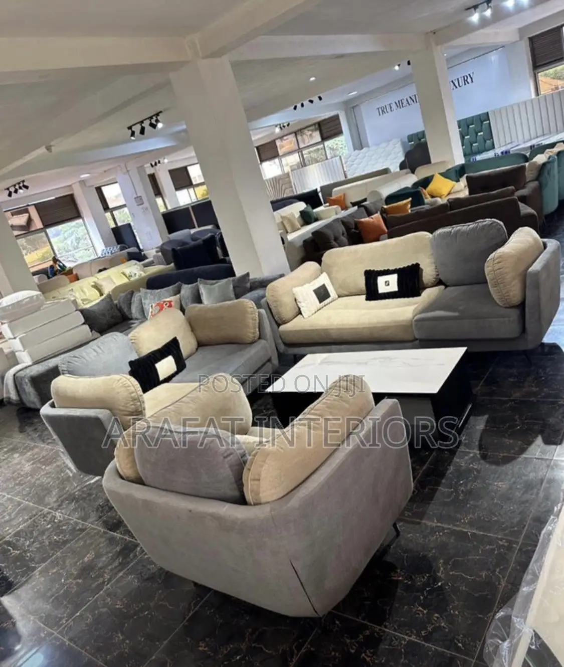 Simple Elongat Sofa Set