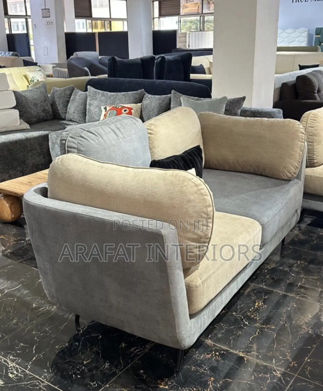 Simple Elongat Sofa Set