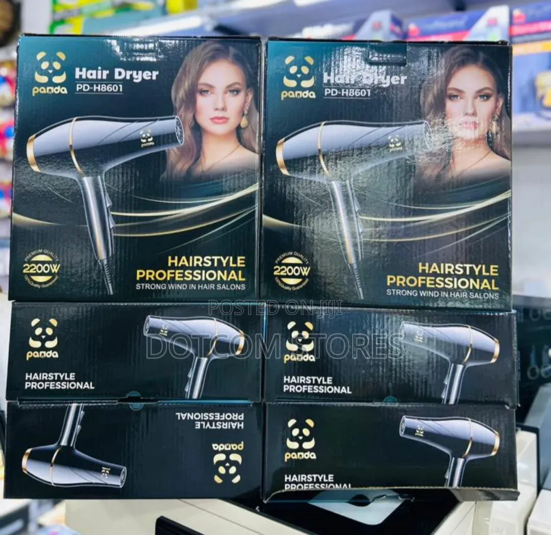 Panda Pd-H8601 Professional Hair Dryers