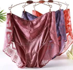 Large Size Women's Large Transparent Lace
