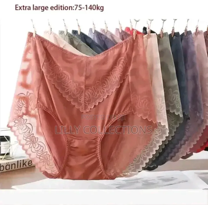 Large Size Women's Large Transparent Lace