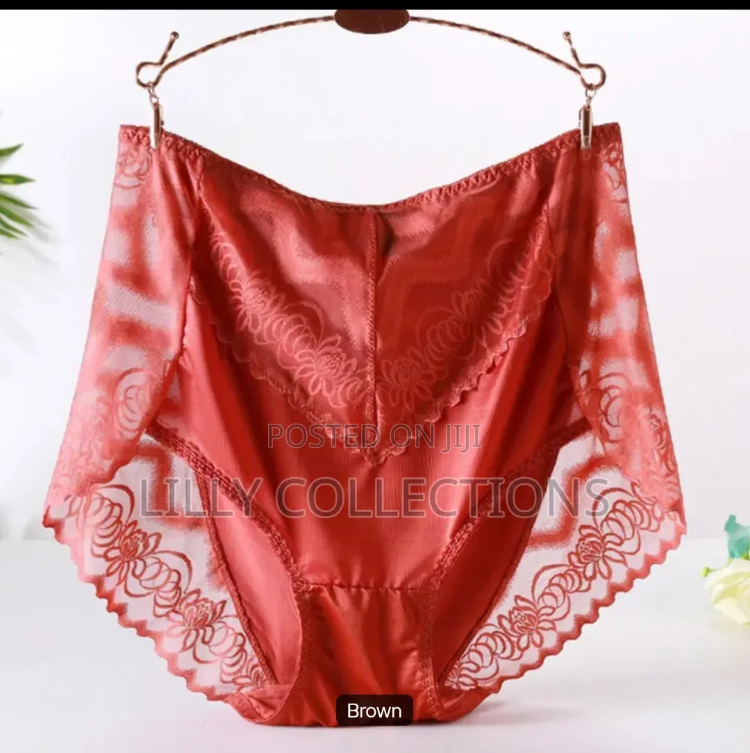 Large Size Women's Large Transparent Lace