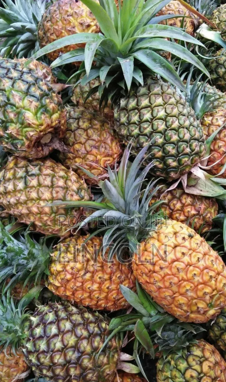 Kim Fresh Fruits and Vegetables