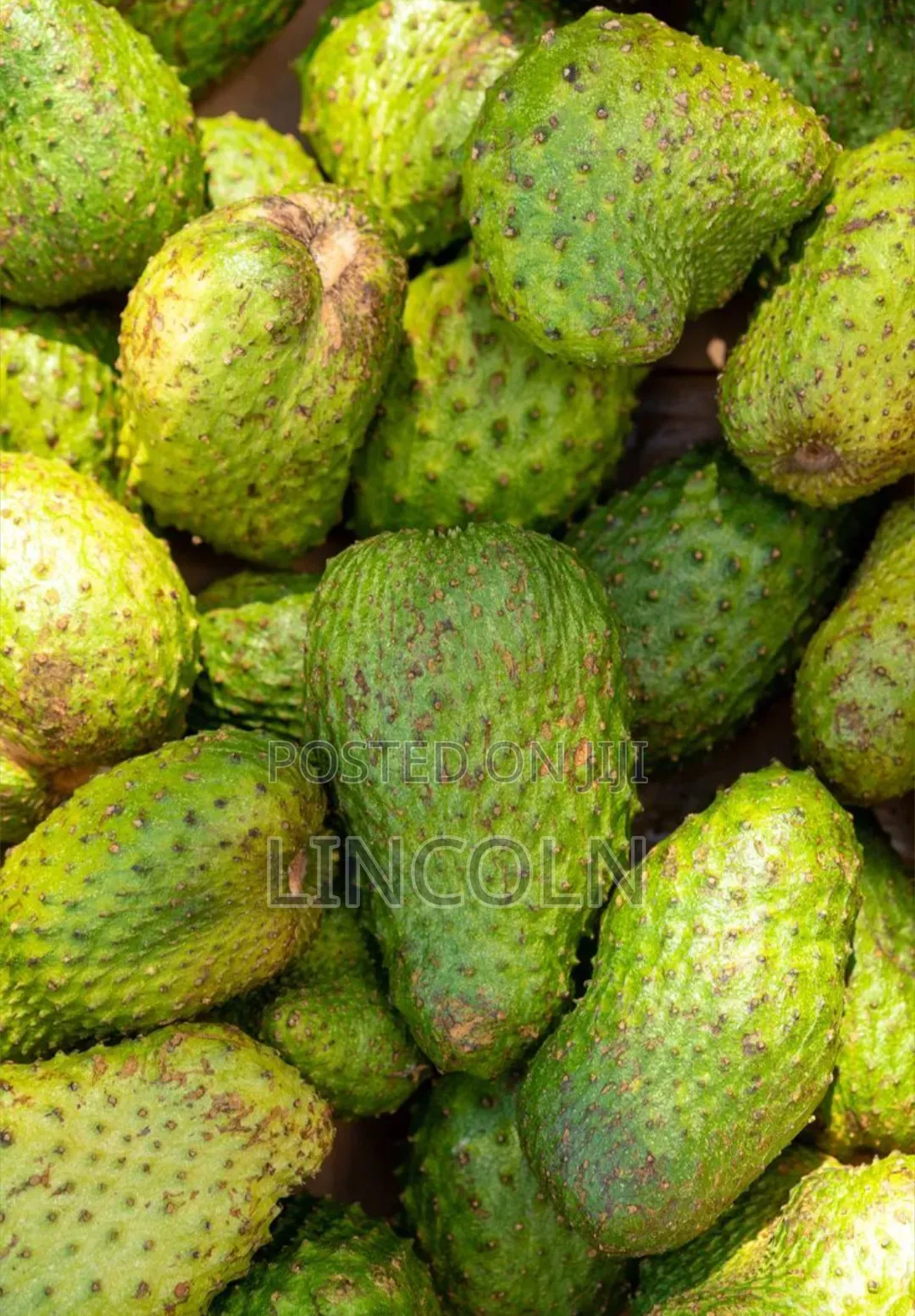 Kim Fresh Fruits and Vegetables