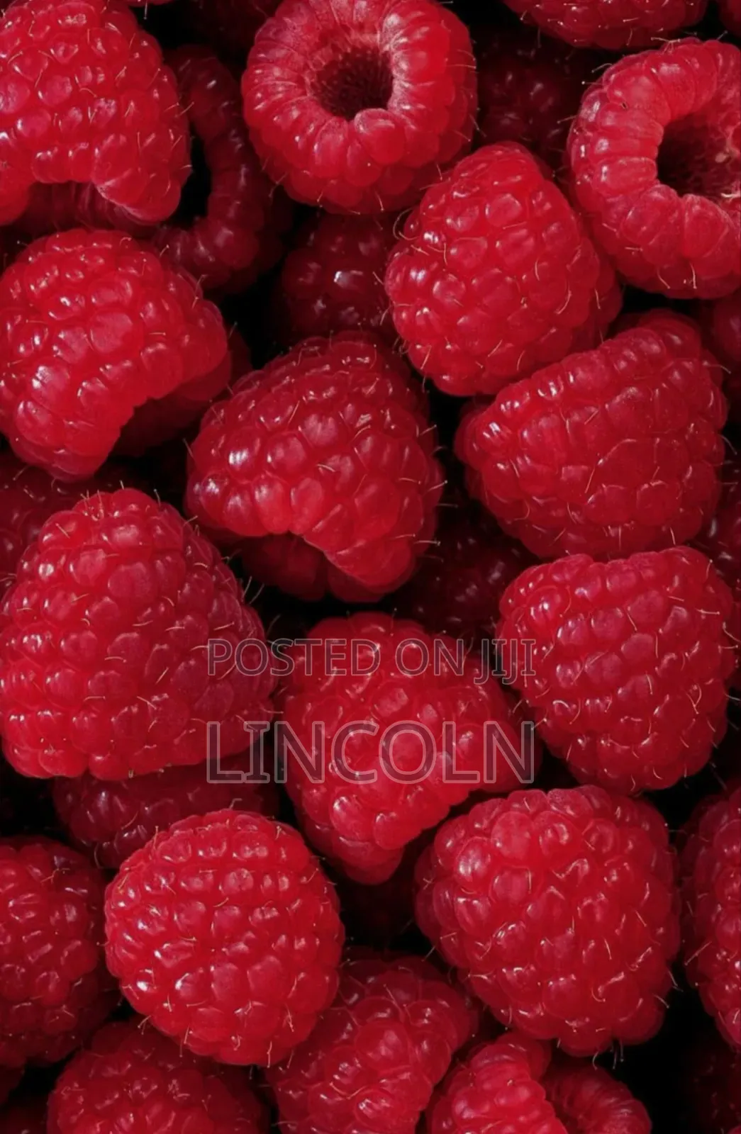 Kim Fresh Fruits and Vegetables