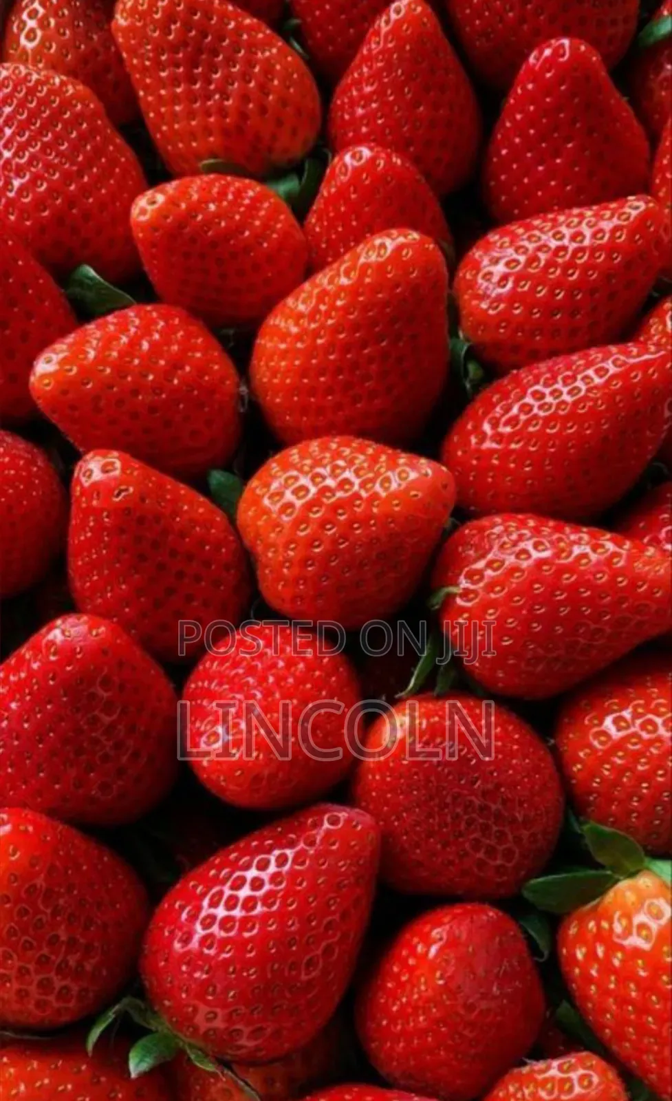 Kim Fresh Fruits and Vegetables