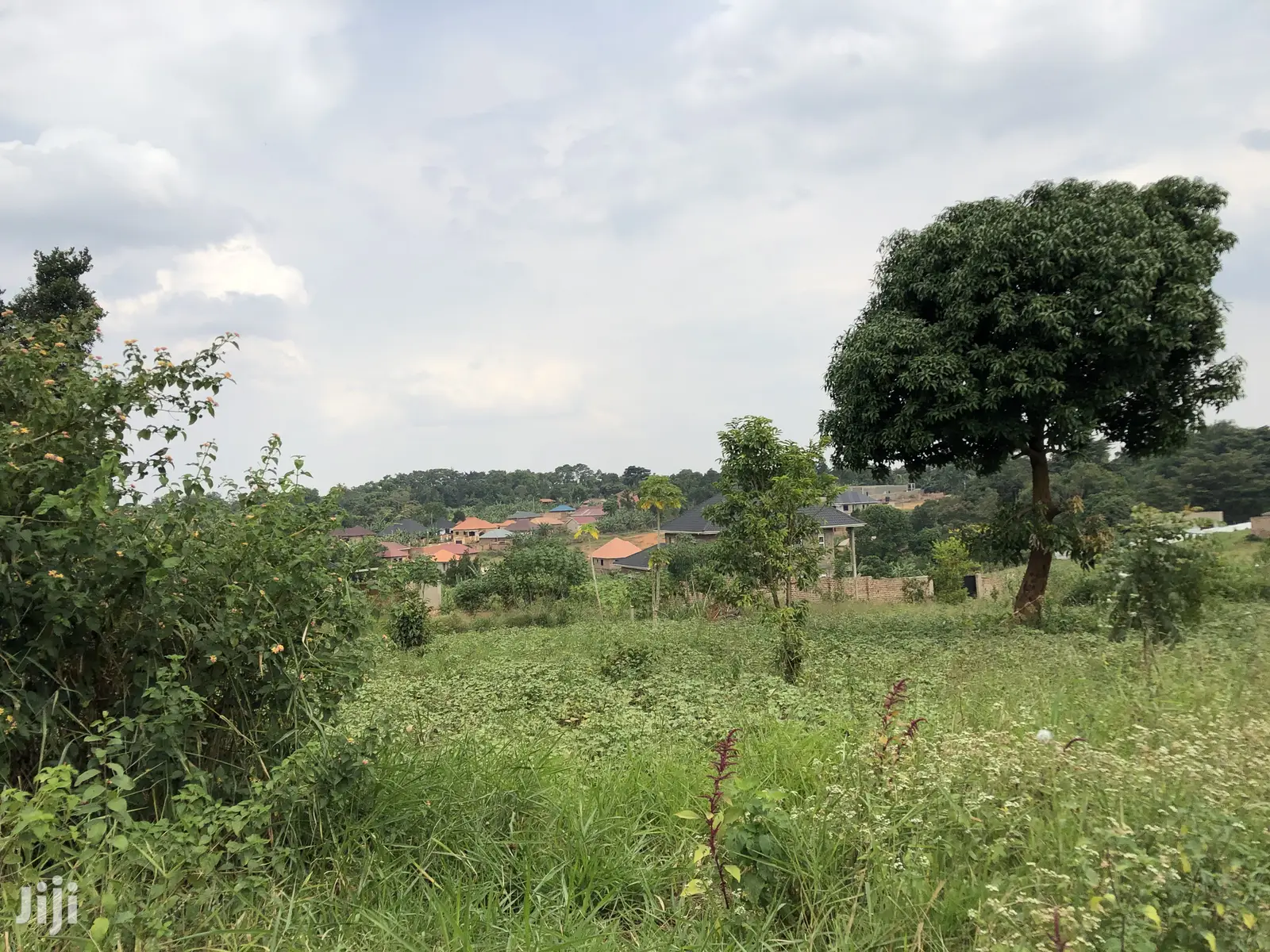 Kira Beautiful Plot Near the Main Road on Quick Sale