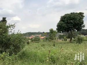 Kira Beautiful Plot Near the Main Road on Quick Sale