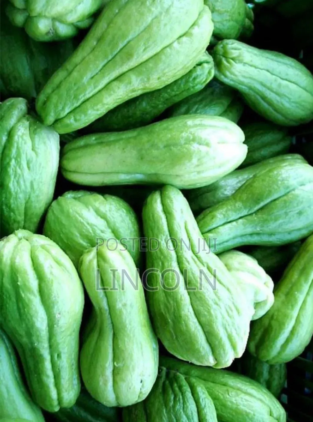 Kim Fresh Fruits and Vegetables