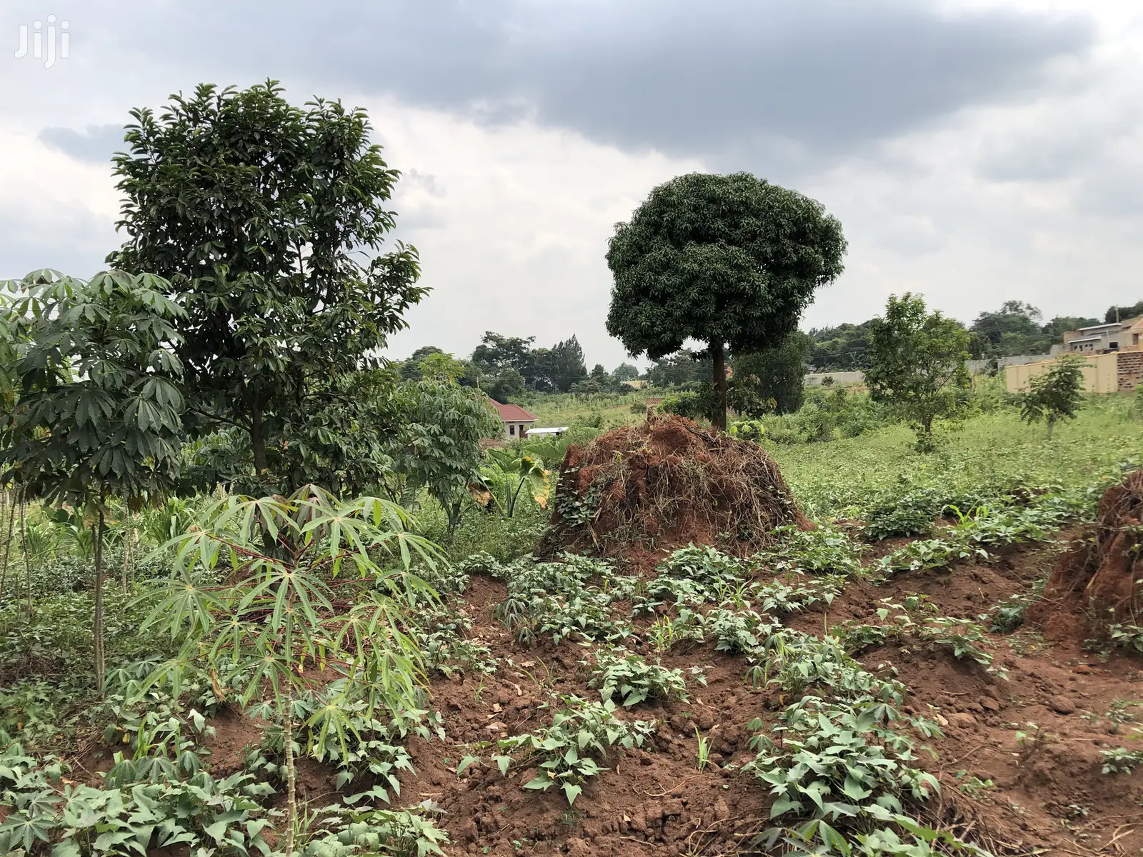 Kira Beautiful Plot Near the Main Road on Quick Sale
