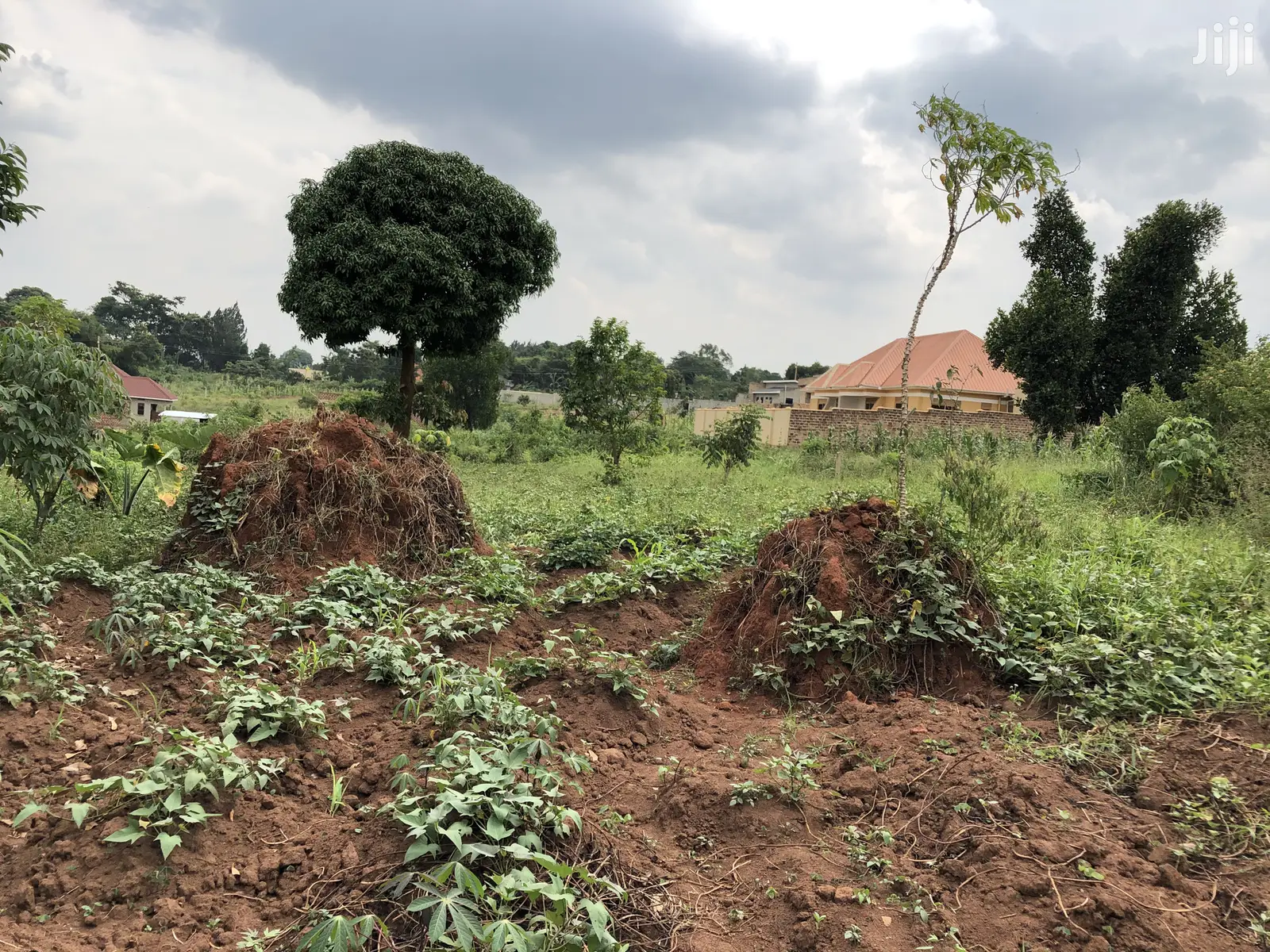 Kira Beautiful Plot Near the Main Road on Quick Sale