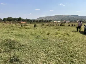 Plot in Biharwe .1 Km From Igongo