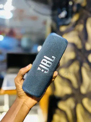 JBL Portable Sound System