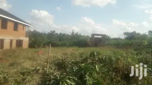 Kiwanga Land