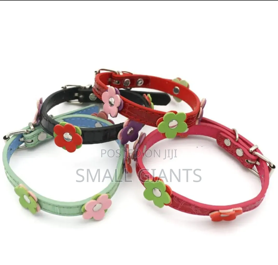 Dog Leather Collars With Fancy Pretty Colorful Flowers