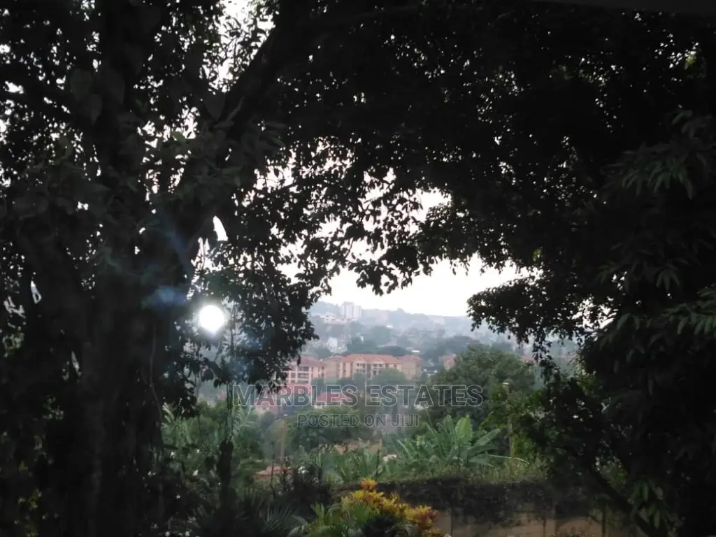Fully Furnished Apartment for Rent in Naguru