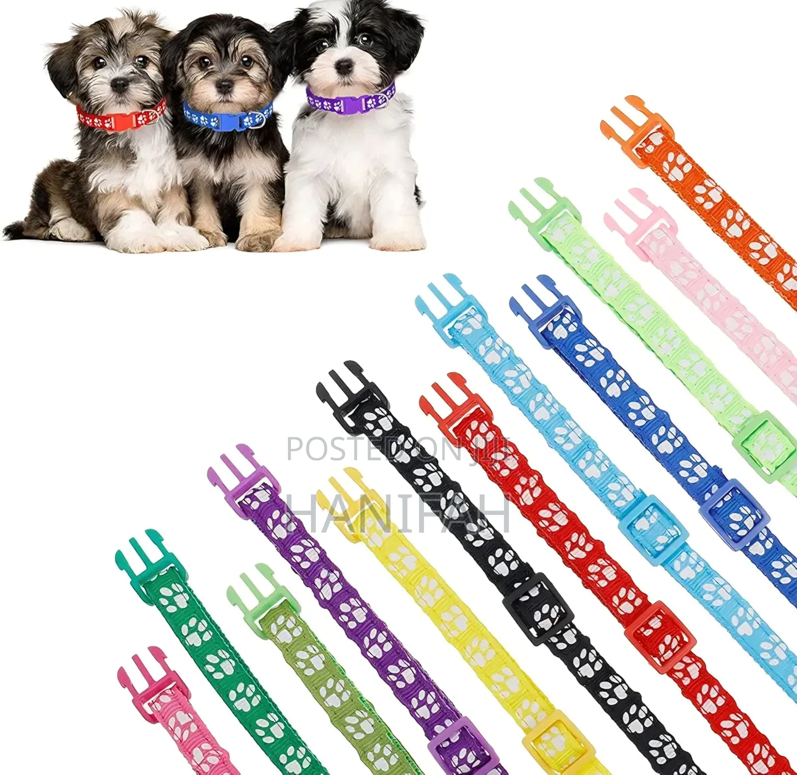 12 Pack Puppy Collars for Litter