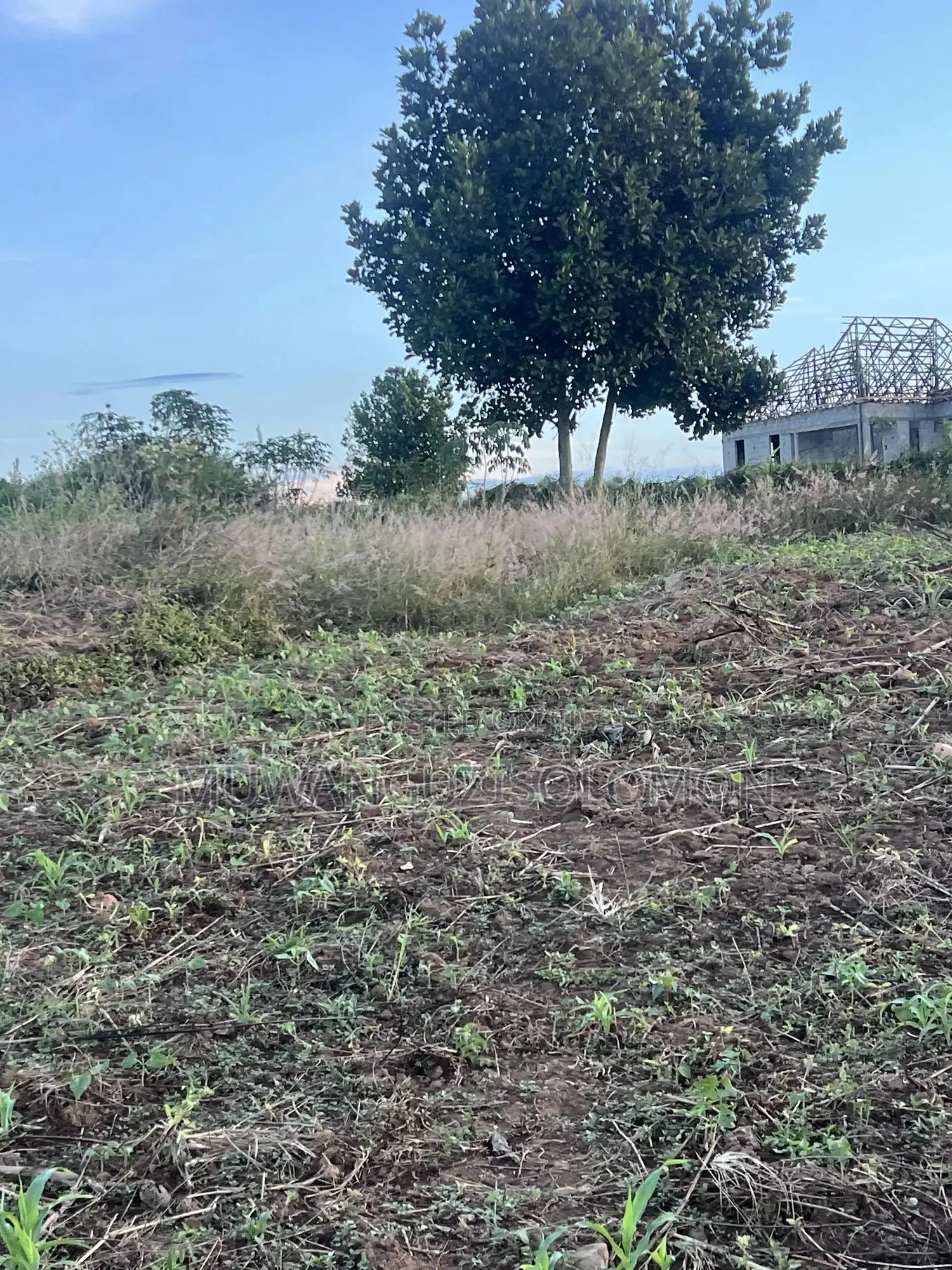 1 Acre for Sell in Mbarara City