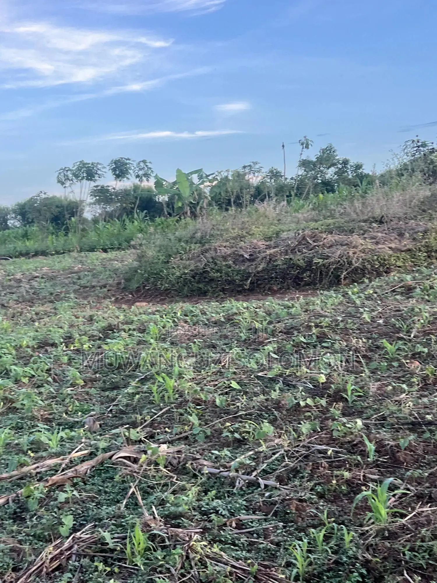 1 Acre for Sell in Mbarara City