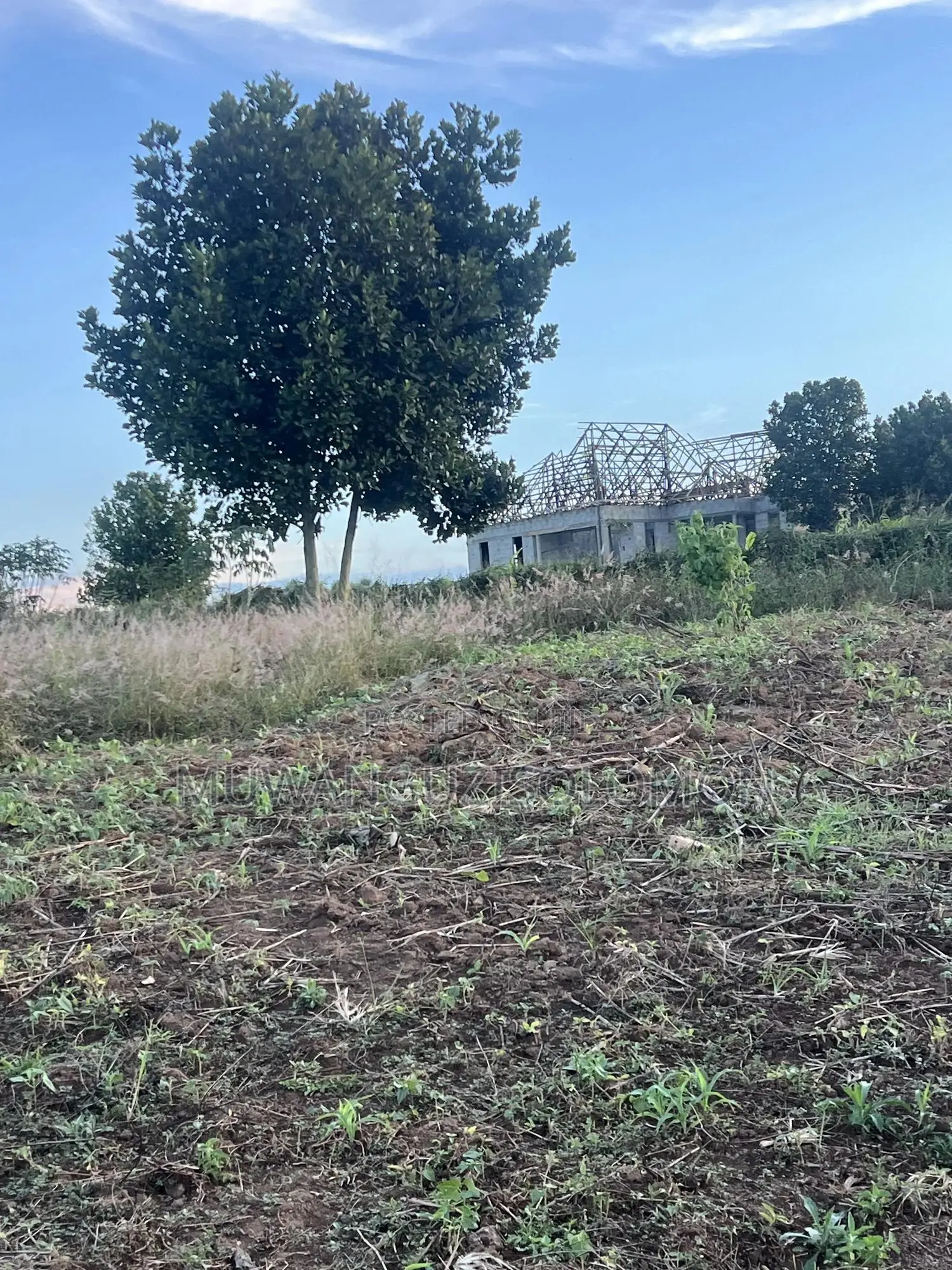 1 Acre for Sell in Mbarara City