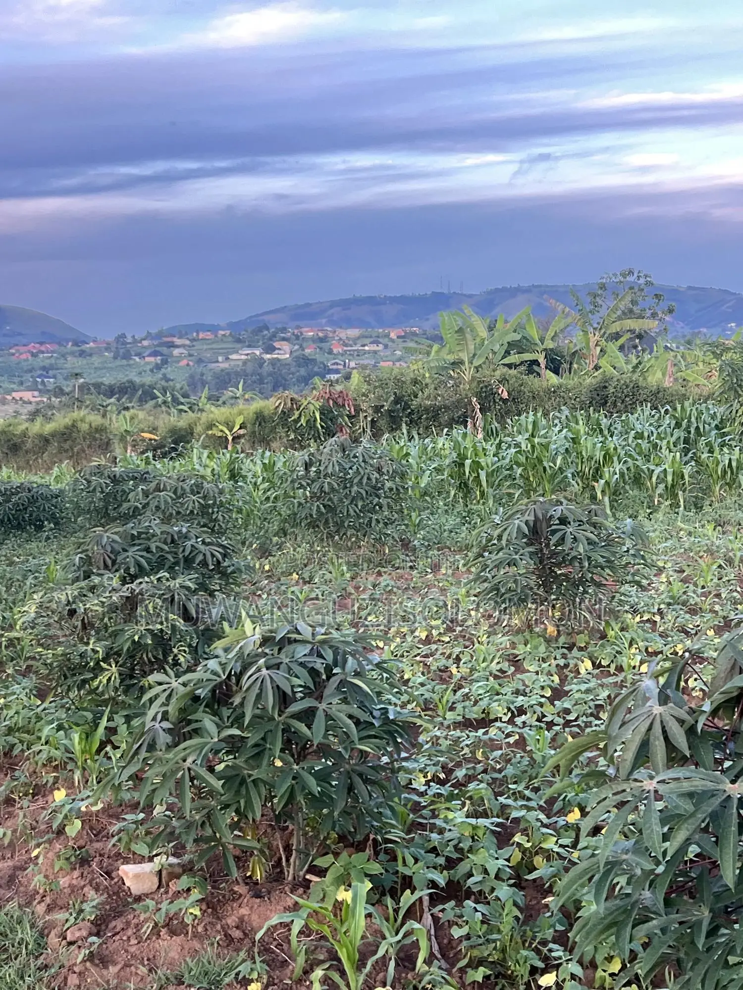 1 Acre for Sell in Mbarara City