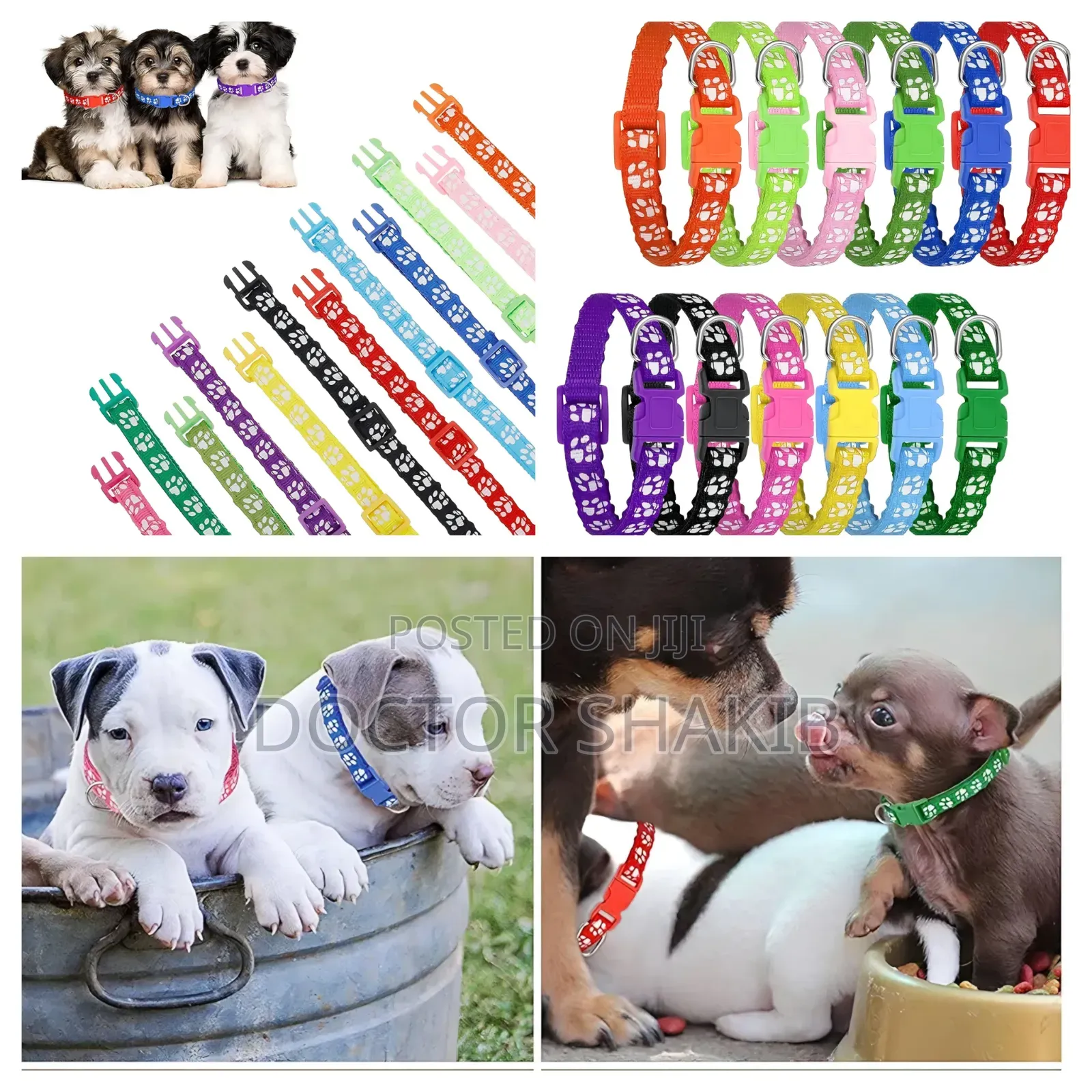12 Pack Puppy Collars for Litter