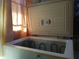 Fridge and Deep Freezer