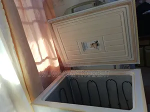 Fridge and Deep Freezer