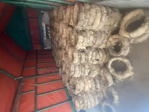 Hoop Payan 16 Kilograms