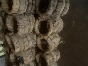 Hoop Payan 16 Kilograms