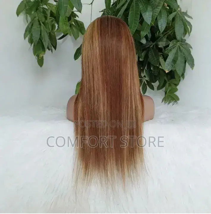 Virgin Human Hair Wigs 13*4 Full Lace Closure Panio Wig 18 Inch