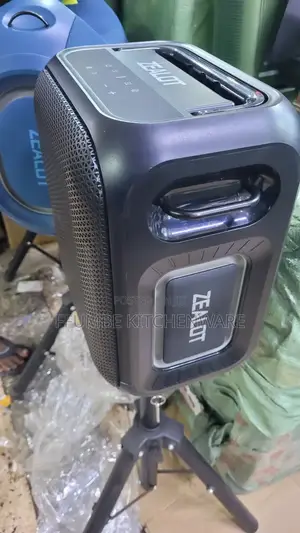 Wireless Speaker Zealot Pt11