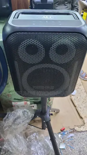 Wireless Speaker Zealot Pt11